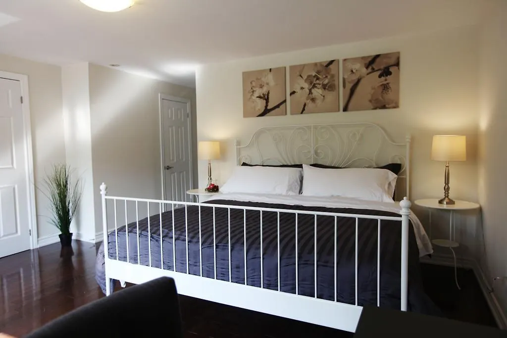 多伦多邓肯公园民宿 Toronto Duncan Park Guesthouse 招待所