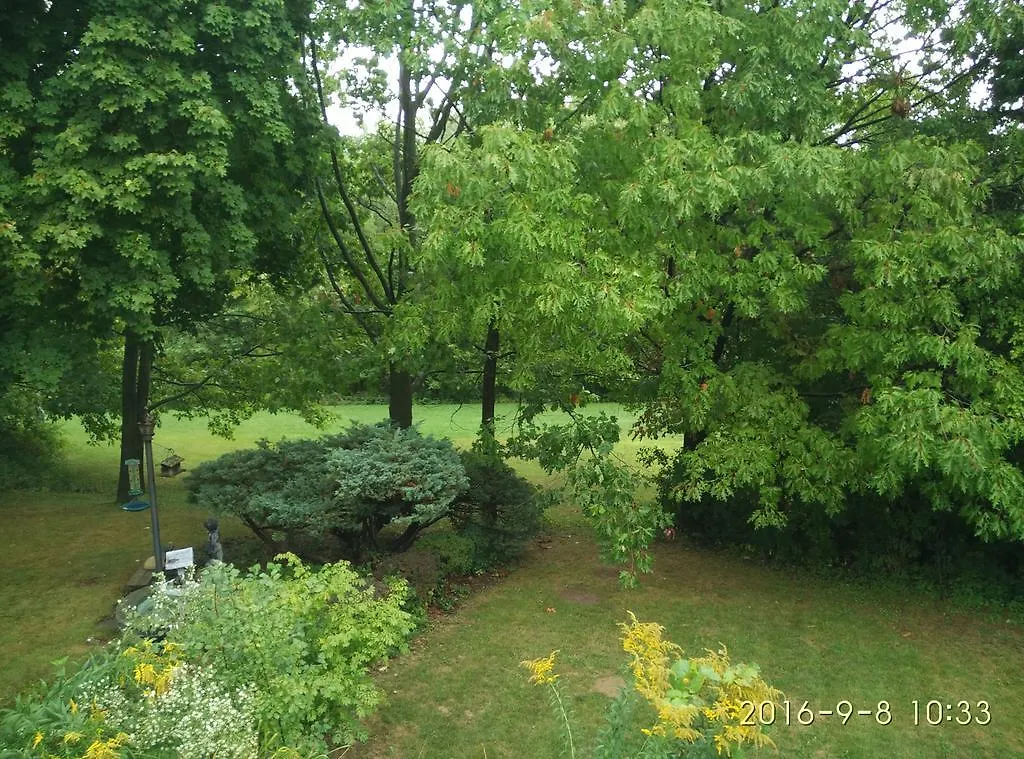 Guest house 多伦多邓肯公园民宿 Toronto Duncan Park Guesthouse